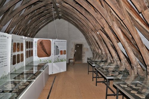 Musée de Paléontologie